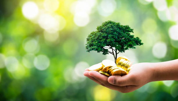 Best Ways to Save Money on Gas